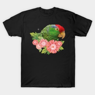 Tamaulipeca Amazon T-Shirt